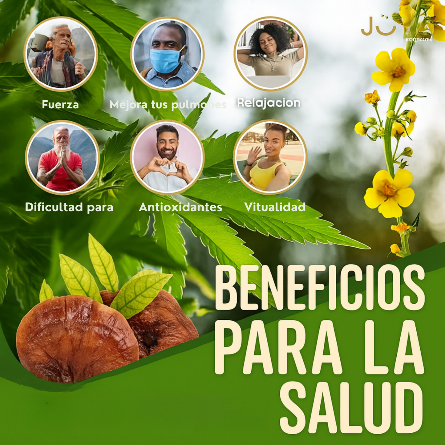 GOMITA MUSGO MARINO - SOPORTE MULTIVITAMÍNICO ALIVIA FATIGA Y DEFENSAS BAJAS