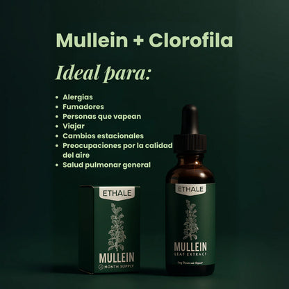 SPRAY NASAL DE HIERBAS