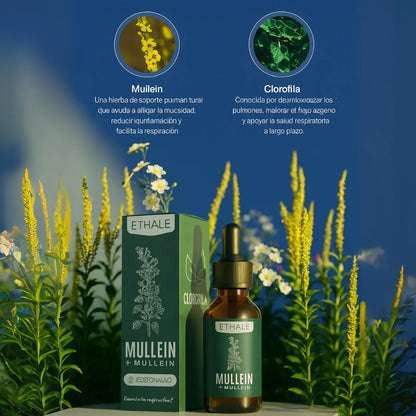 SPRAY NASAL DE HIERBAS