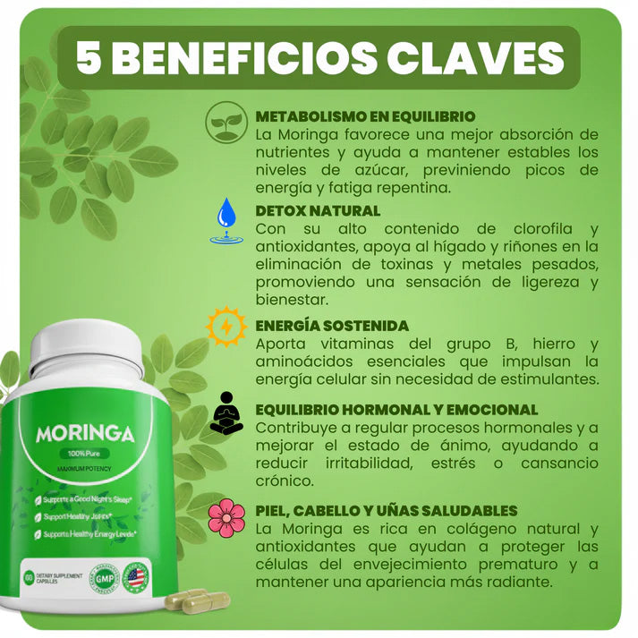 Moringa Cápsulas- superalimento rico en antioxidantes y vitaminas