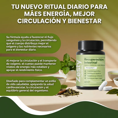 Recuperación Intestinal- ayuda a promover una mejor circulación, mejor flujo de oxígeno y energía natural para el día a día.