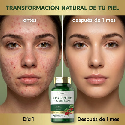 Berberine HCL- apoya el metabolismo de la glucosa y mejora la sensibilidad a la insulina.