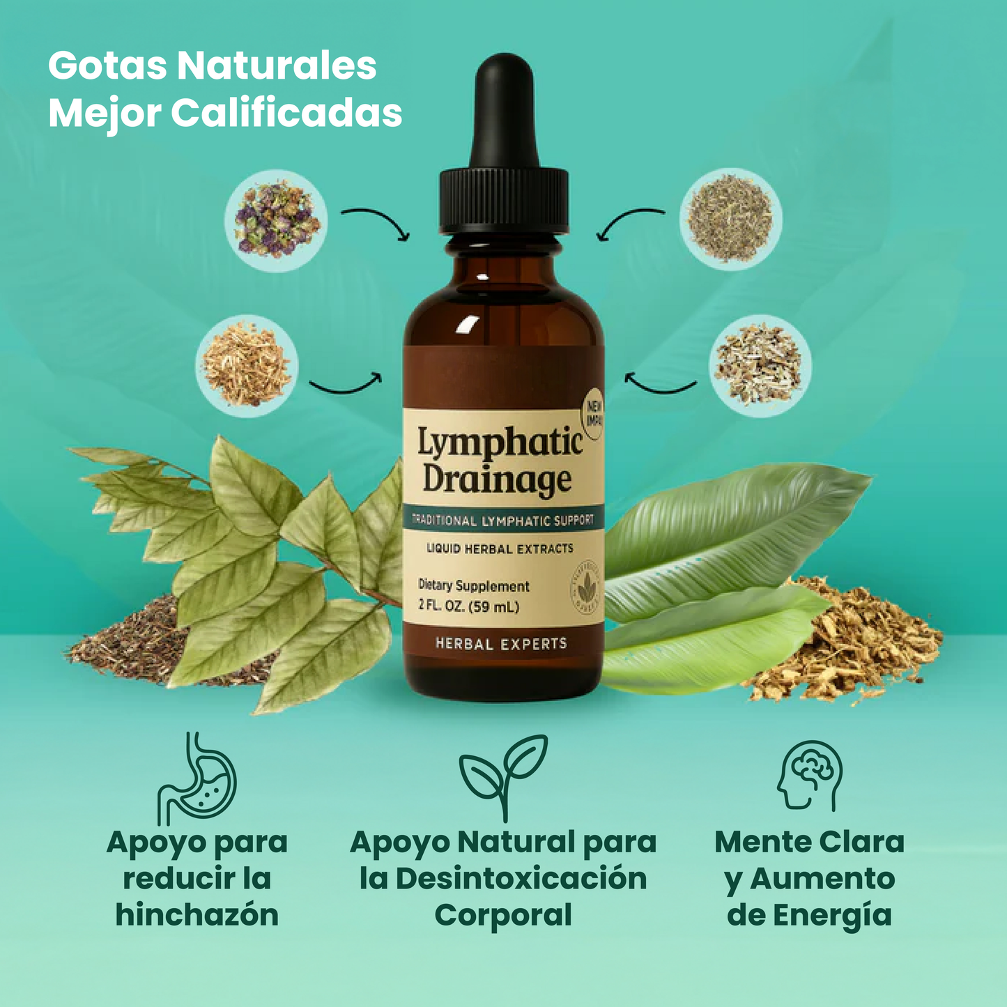 Gotas de bienestar-apoyo para reducir la hinchazón