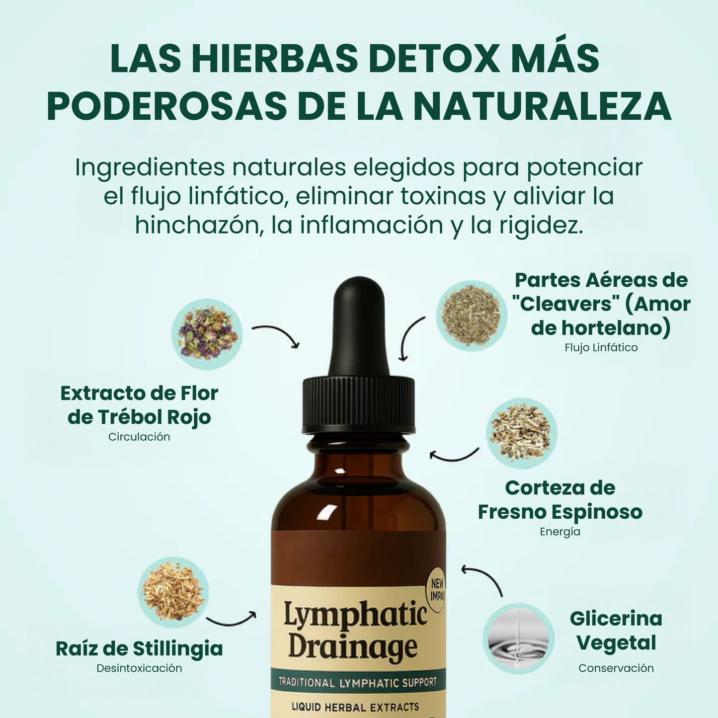 Gotas de bienestar-apoyo para reducir la hinchazón